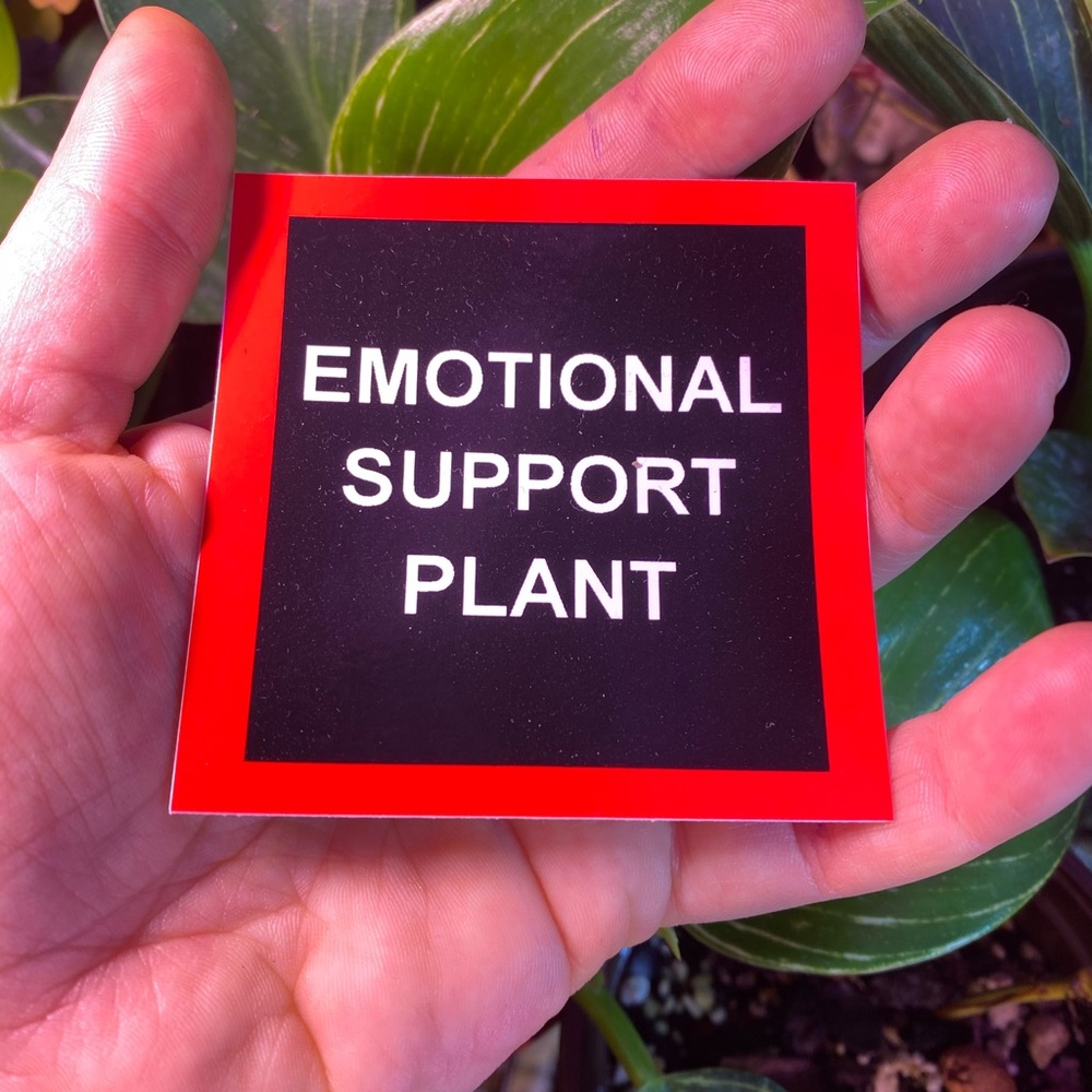 Emotional Support Plant sticker!